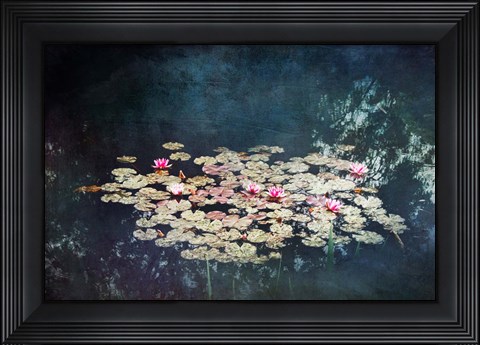 Framed Waterlilies Print