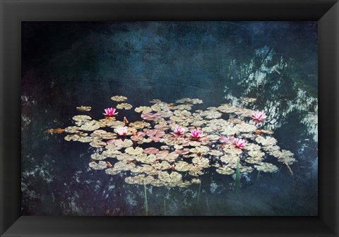 Framed Waterlilies Print