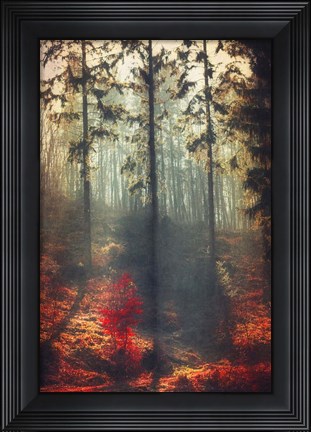 Framed Weight of Light Print