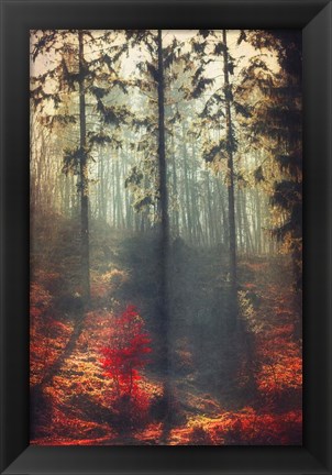 Framed Weight of Light Print