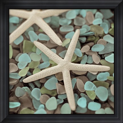 Framed Aquatic 1 Print