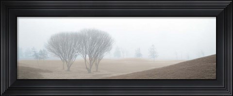 Framed Coastal Trail Print