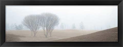 Framed Coastal Trail Print