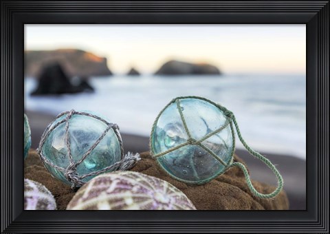 Framed Crescent Beach Shells 16 Print