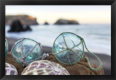 Framed Crescent Beach Shells 16 Print