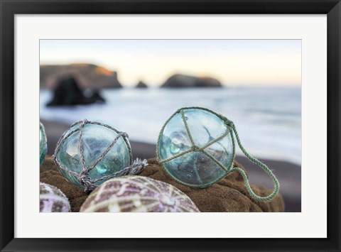 Framed Crescent Beach Shells 16 Print