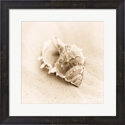 Framed Il Oceano No. 3 Print