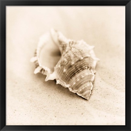 Framed Il Oceano No. 3 Print