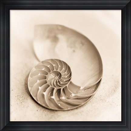 Framed Il Oceano No. 4 Print