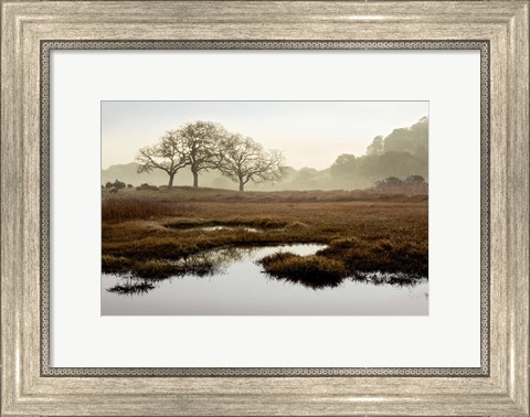 Framed Island Oak Trees Print