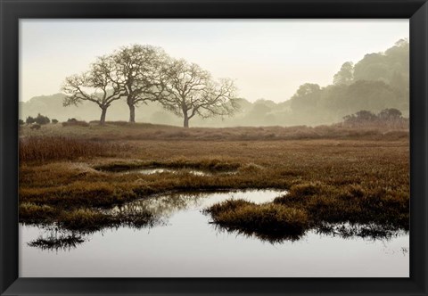 Framed Island Oak Trees Print