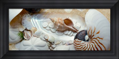 Framed Island Tide Pool No. 1 Print