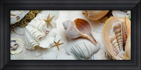 Framed Island Tide Pool No. 3 Print