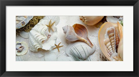 Framed Island Tide Pool No. 3 Print