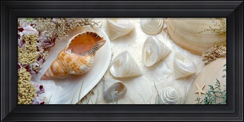 Framed Island Tide Pool No. 6 Print