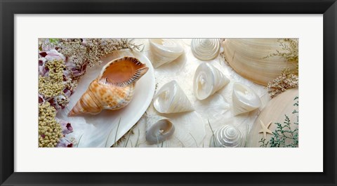 Framed Island Tide Pool No. 6 Print