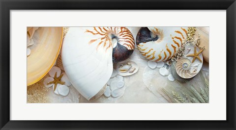 Framed Island Tide Pool No. 8 Print