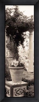Framed Jardin Botanico Print