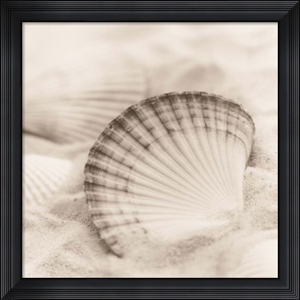 Framed La Mer 3 Print