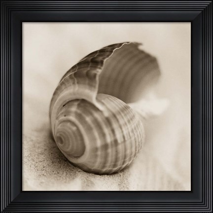 Framed La Playa No3 Print