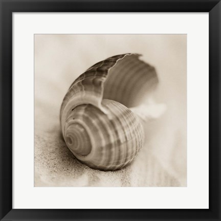 Framed La Playa No3 Print