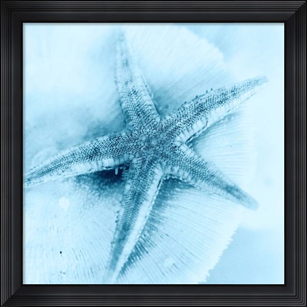 Framed Nautica No1 Print