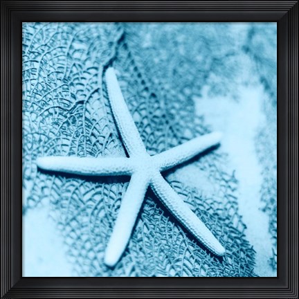 Framed Nautica No2 Print