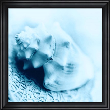 Framed Nautica No4 Print