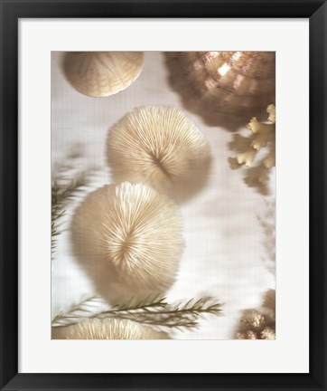 Framed Nautical Illuminations No.2 Print