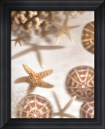 Framed Nautical Illuminations No.3 Print
