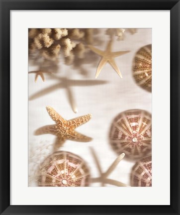 Framed Nautical Illuminations No.3 Print
