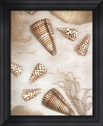 Framed Nautical Illuminations No.4 Print
