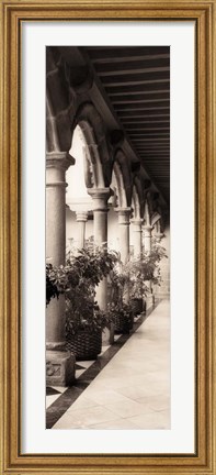 Framed Palacio de Valdespino Print