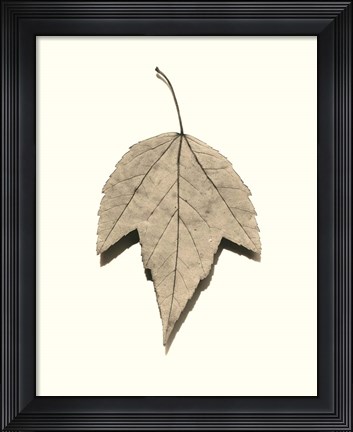 Framed Red Maple Print