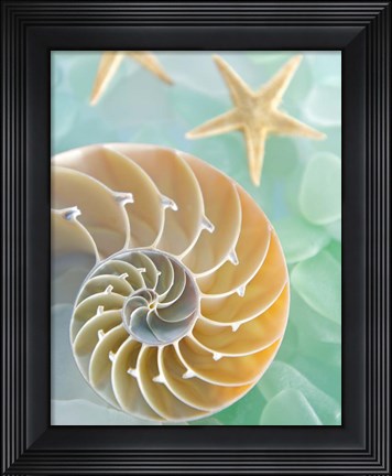 Framed Seaglass 2 Print
