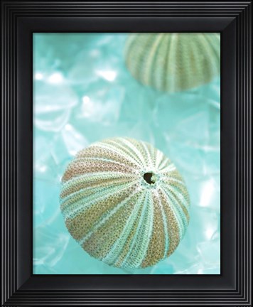 Framed Seaglass 4 Print