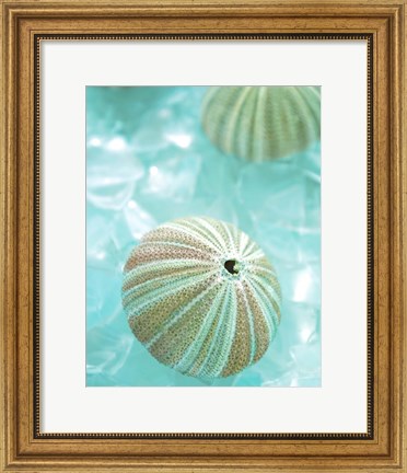 Framed Seaglass 4 Print