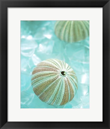 Framed Seaglass 4 Print