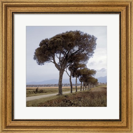 Framed Tuscan Fatorria Strada No. 1 Print