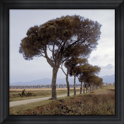 Framed Tuscan Fatorria Strada No. 1 Print