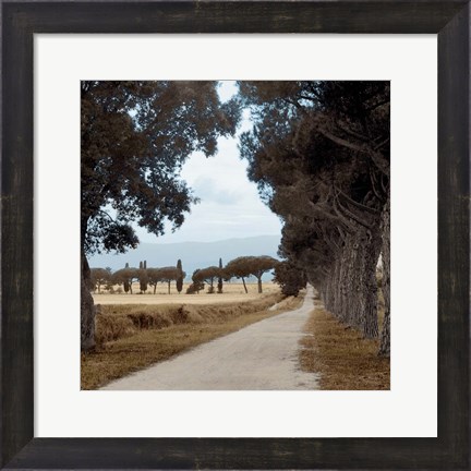 Framed Tuscan Fatorria Strada No. 2 Print