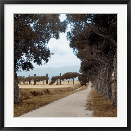 Framed Tuscan Fatorria Strada No. 2 Print