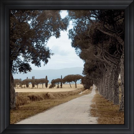 Framed Tuscan Fatorria Strada No. 2 Print