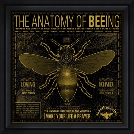 Framed Anatomy 0F Bee-Ing Print