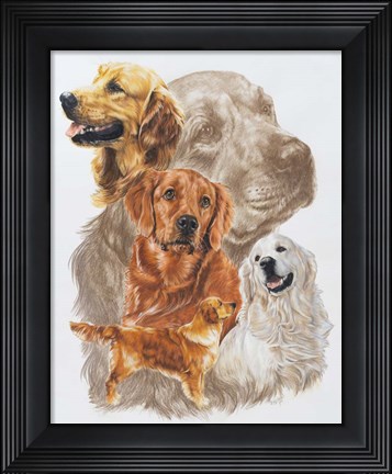 Framed Golden Retriever with Ghost Image Print