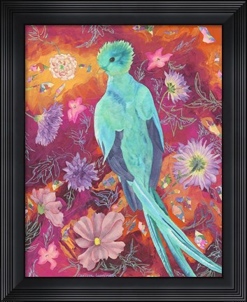 Framed Quetzecal Print