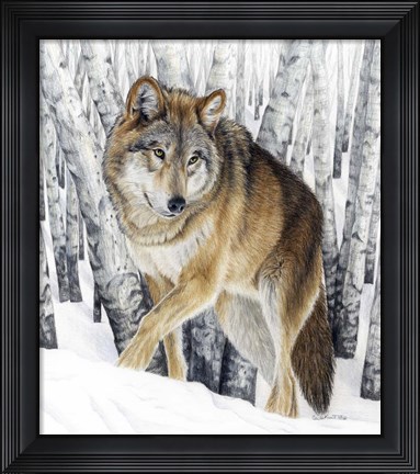 Framed Silent Traveler Print