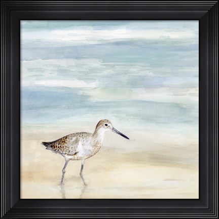 Framed Speckled Willet I Print