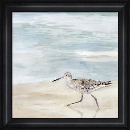 Framed Speckled Willet II Print