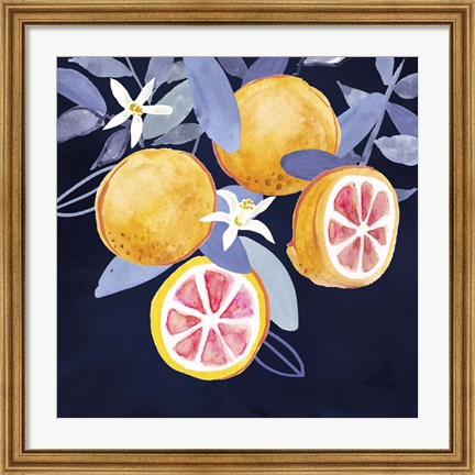 Framed Fresh Fruit III Print